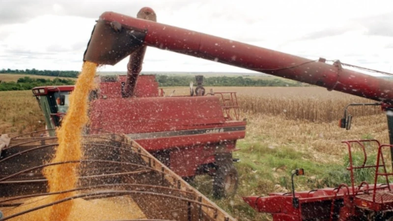 Aumento da demanda mundial de alimentos. O Brasil se preparou investindo no aumento da produção | Foto: Divulgação/Portal Brasil (2015)
